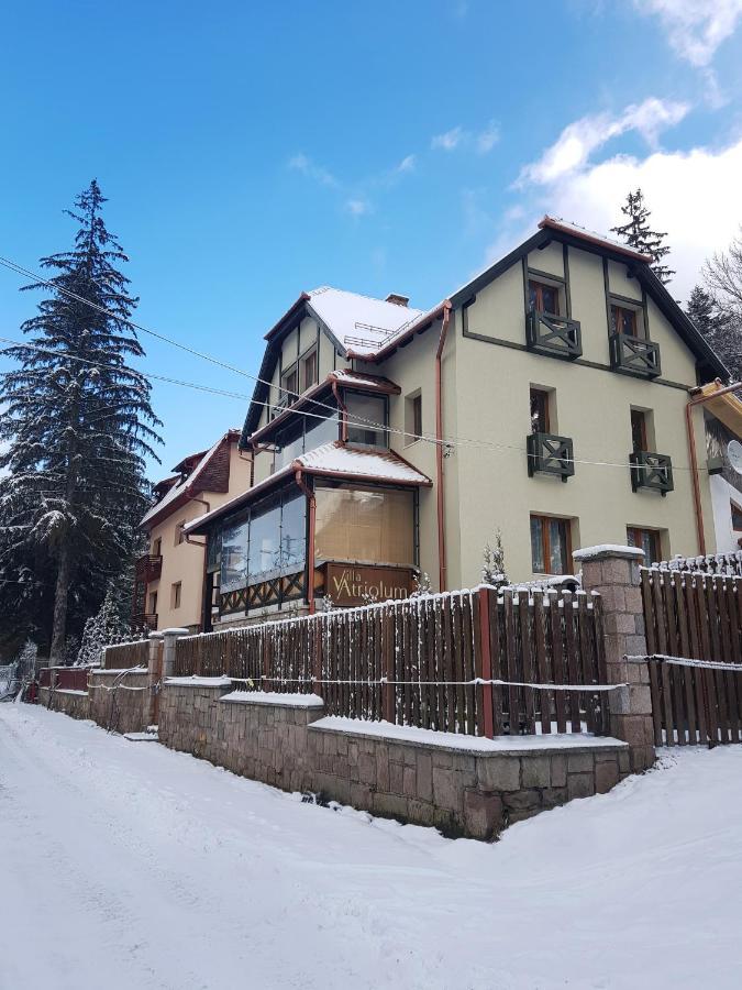 Villa Atriolum BaileTusnad Esterno foto